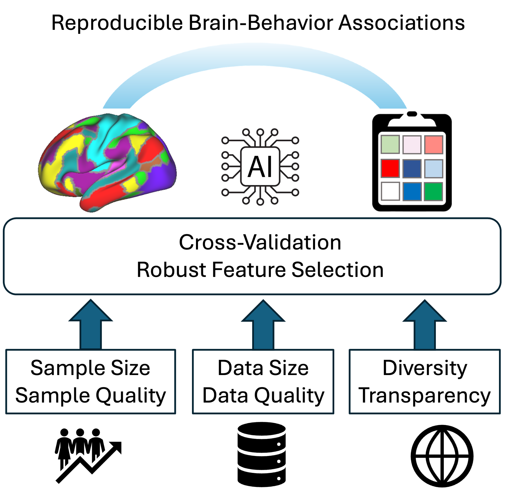 Functional Neuroimaging Illustration