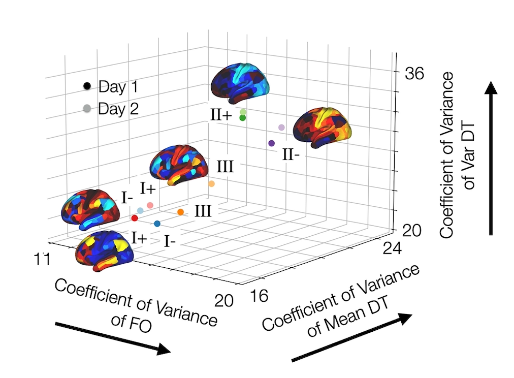 Functional Neuroimaging Illustration