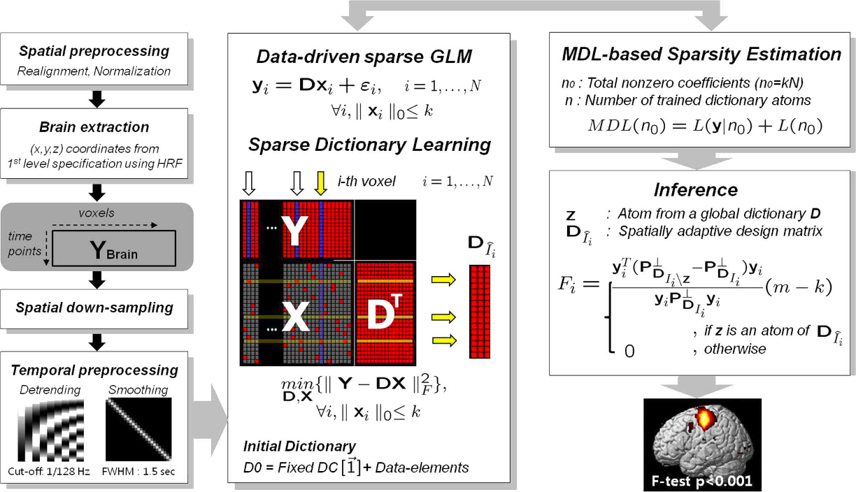 Functional Neuroimaging Illustration